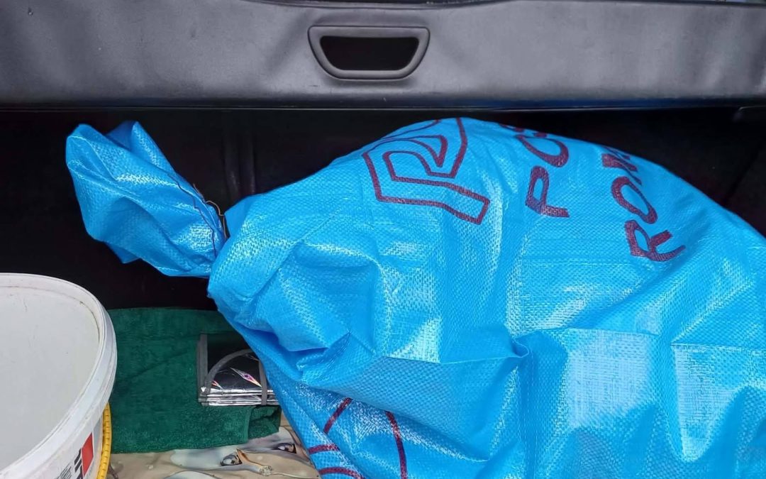 Kleiner Hund herzlos in einem zugeschnürten Plastiksack abgegeben