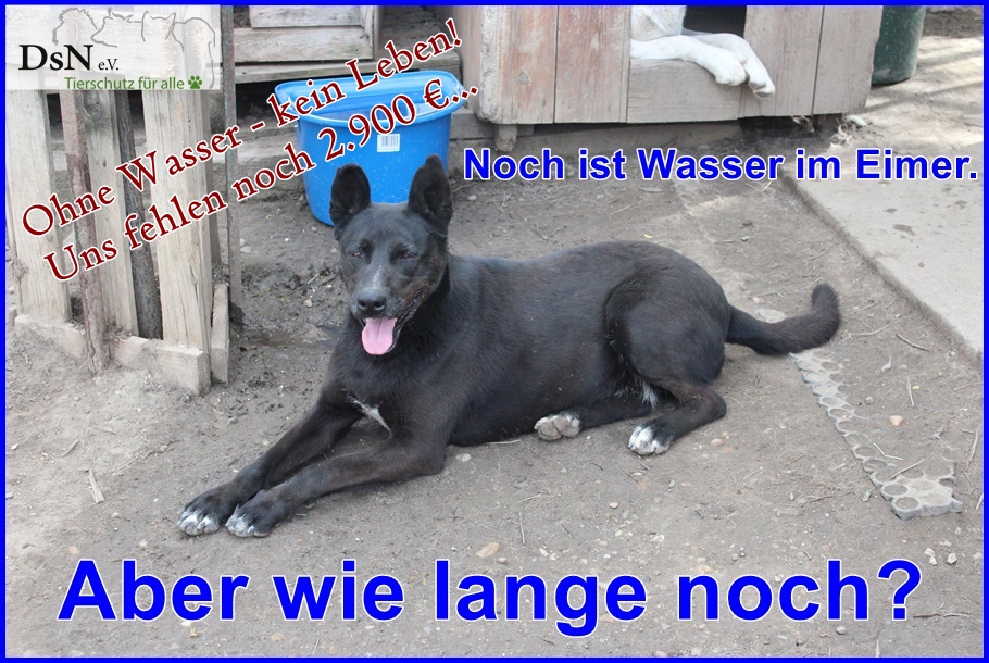 Ohne Wasser kein Leben!